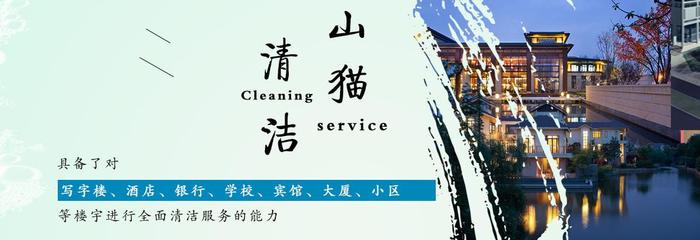 武汉山猫清洁服务