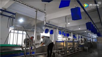 开个餐具清洗厂赚钱吗 洗碗机厂家给你算算账