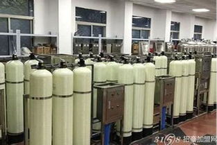 我是怎样告别大城市的稳定工作,踏上自主创业之路