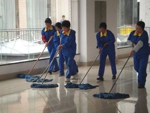 专业金山保洁服务 家庭、办公楼与别墅清洁的全面解决方案