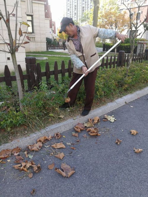 关于海上罗兰物业服务中心11月份楼宇清洁服务的工作简报