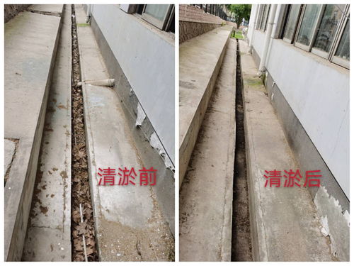 未雨绸缪 畅通无阻 物业服务中心全面清理楼宇周边排水沟